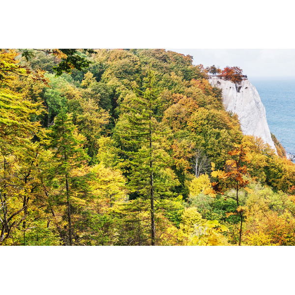 Rügen, Kreidefelsen, Königsstuhl