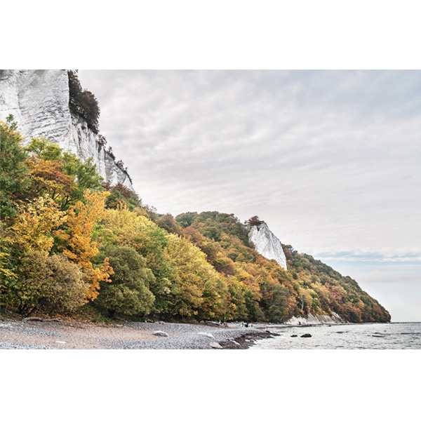 Rügen, Kreidefelsen, Königsstuhl