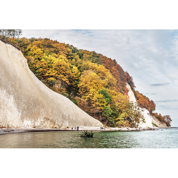 Rügen, Kreidefelsen, Stubbenkammer