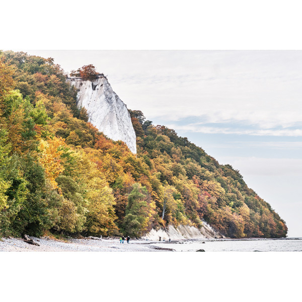 Rügen, Kreidefelsen, Königstuhl