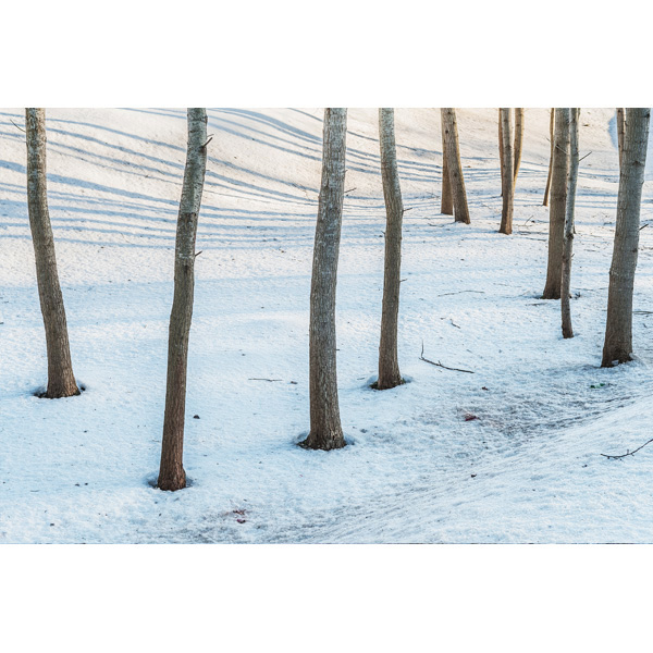 Usedom, Schmollensee, Bodensenke 