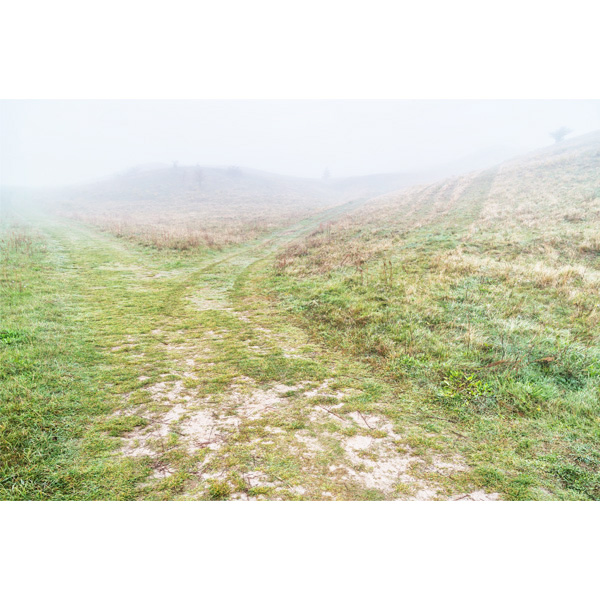 Groß Zicker, Weggabelung, Sommerweg