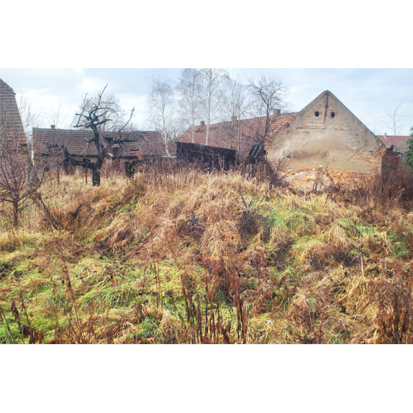 Haidemühl, überwucherter Garten