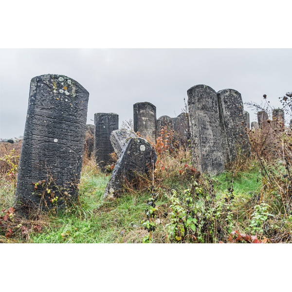 Brody, neuer jüdischer Friedhof, Grabsteine 