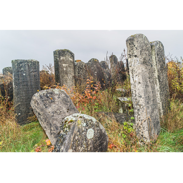 Brody, neuer jüdischer Friedhof, Grabsteine 