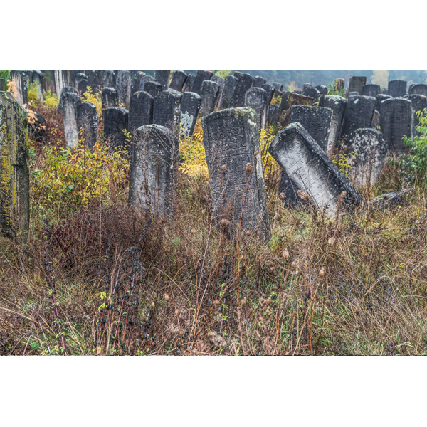 Brody, neuer jüdischer Friedhof, Grabsteine 