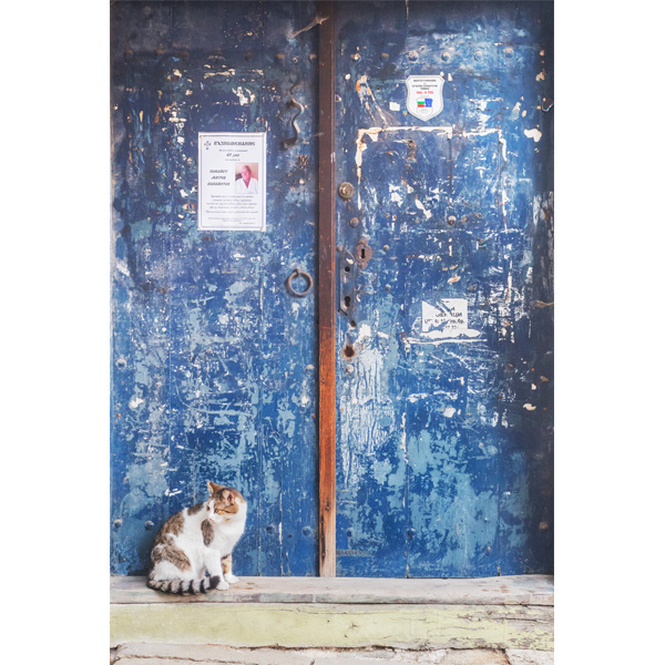 Plowdiw; blaue Tür mit Katze