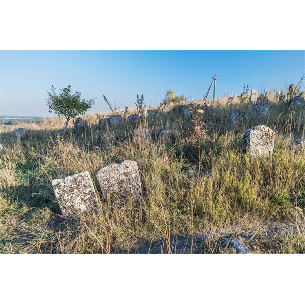 Braclaw, alter jüdischer Friedhof, Grabsteine