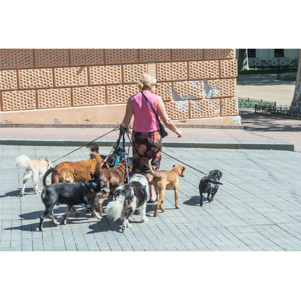 Odessa, Dame mit Hunden